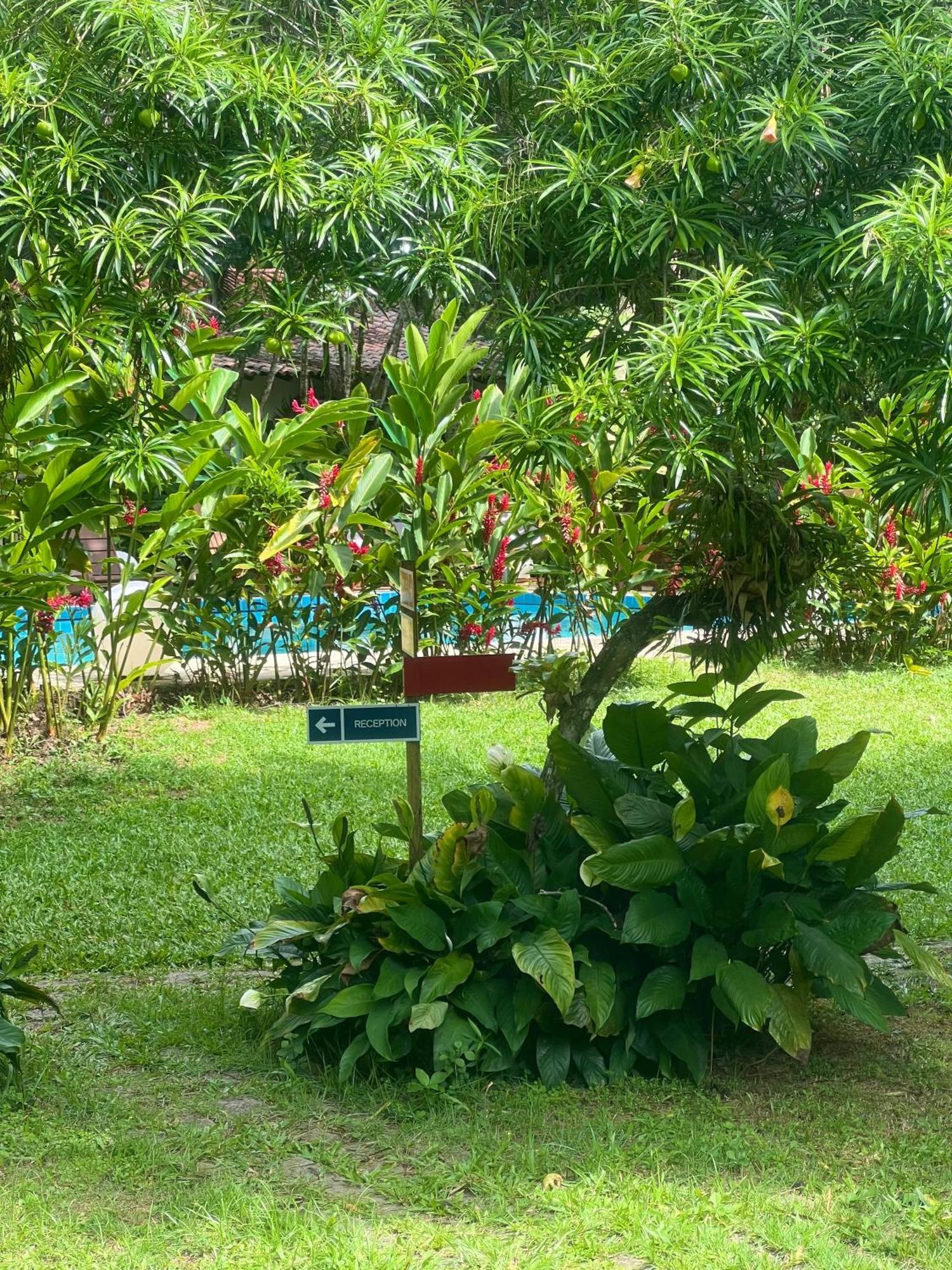 Garden Hotel Paraty Ngoại thất bức ảnh